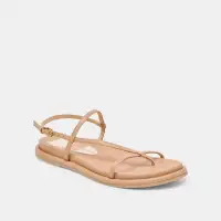 DALLEN SANDALS CAFE LEATHER(CAFE LEATHER,5)