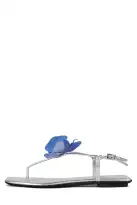 BIG-ISLAND(Silver Blue,6)