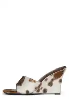 CAPITAL-F(Brown White Cow,6)