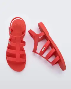 Sun Rodeo(Red,5)