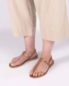Sun Ventura(Gold Metallic,5)