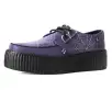 Midnight Chameleon Spiderweb Glow Viva Mondo Creeper